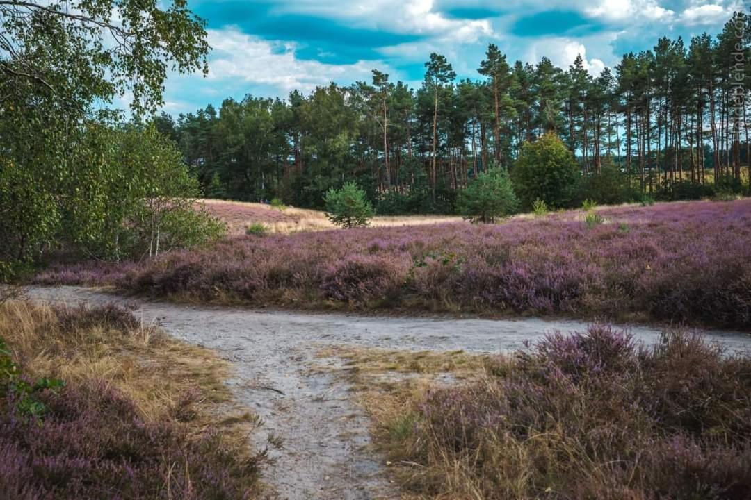 Ferienwohnung Ram 1 Hermannsburg Zewnętrze zdjęcie