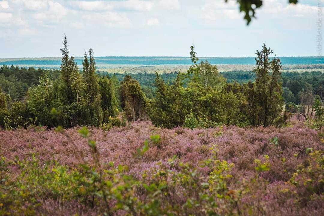 Ferienwohnung Ram 1 Hermannsburg Zewnętrze zdjęcie